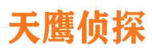 杜集侦探公司